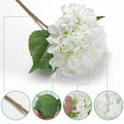 5 Pcs White Silk Hydrangea Flowers – 18"